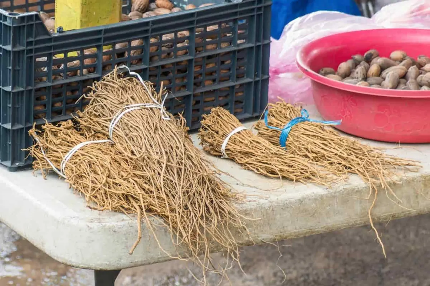 Manojos de raíz de chilcuague en un mercado tradicional mexicano